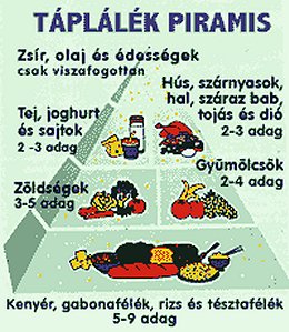 Táplálék piramis